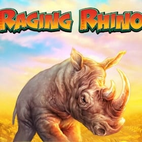 Raging Rhino