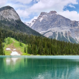 Indians-license logo