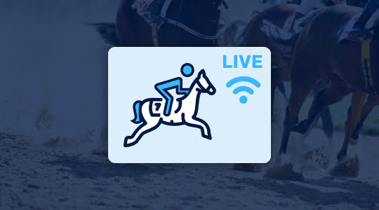 Watch the horse race live