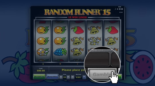 Double your winnings with the Gamble Feature