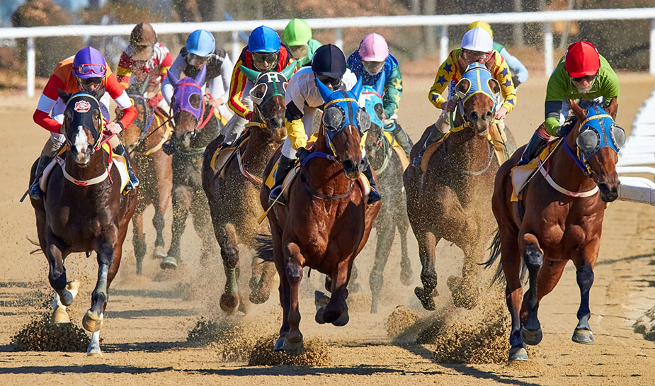 The mathematical betting formula-logistic regression