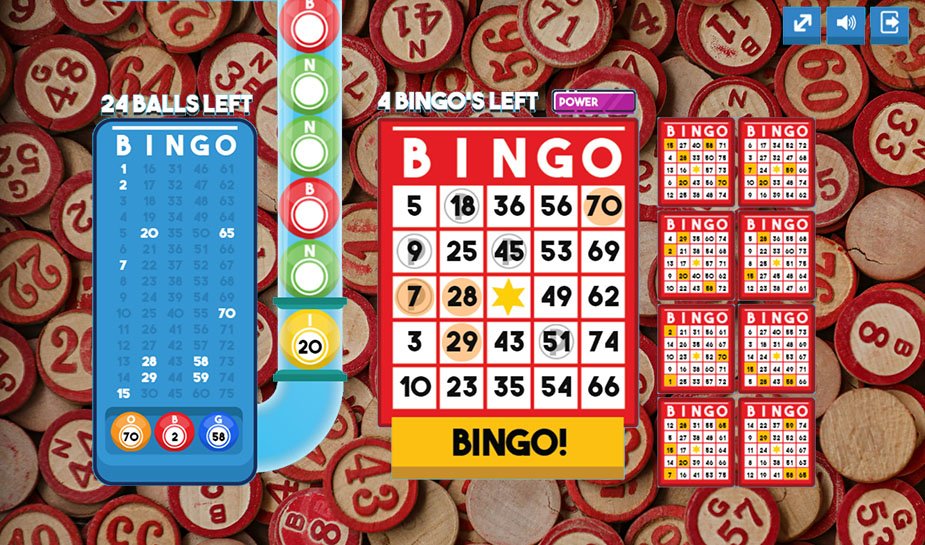 bingo, popular online